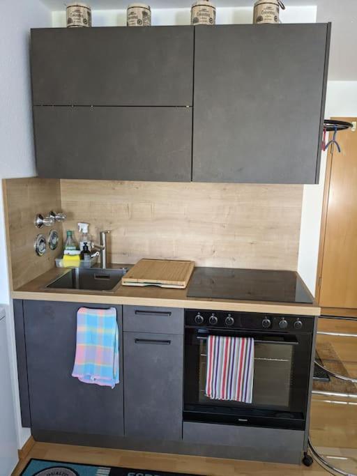 Apartment In Ludwigsburg Dış mekan fotoğraf