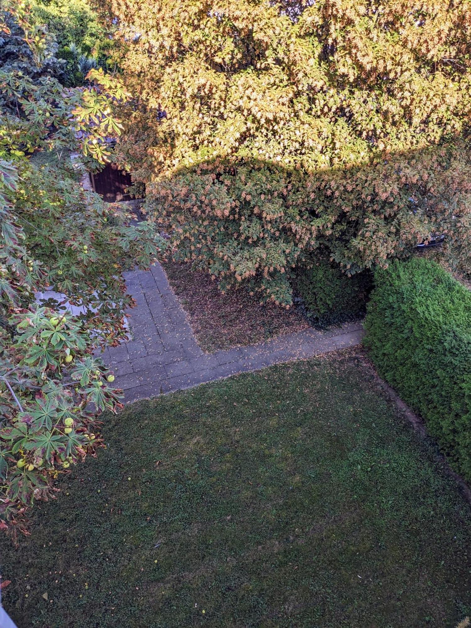 Apartment In Ludwigsburg Dış mekan fotoğraf